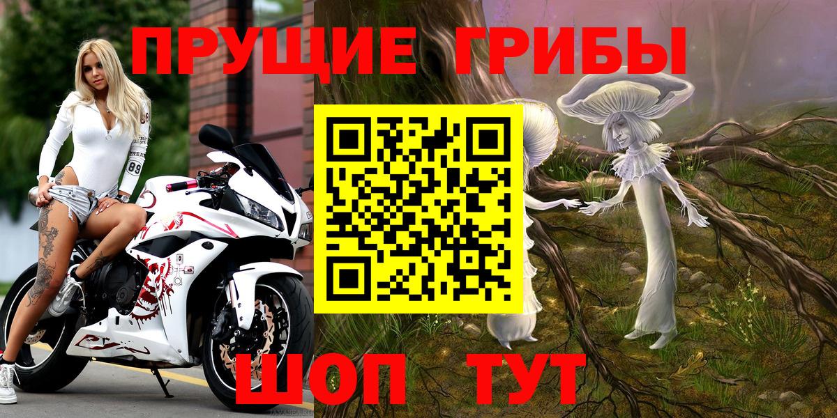 A PVP Семилуки