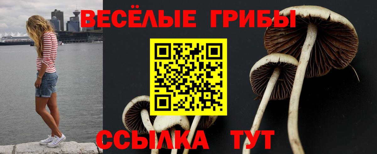 Семилуки  Псилоцибиновые грибы мухоморы  купить наркотик  Вход с VPN 